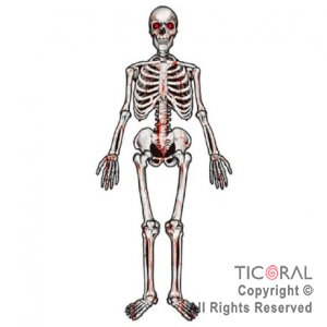 ADORNO ESQUELETO ARTICULADO COLGANTE 1.35 MT x 1